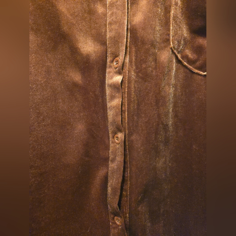 Copper Velvet Button-Down Shirt - Picture 3 of 6
